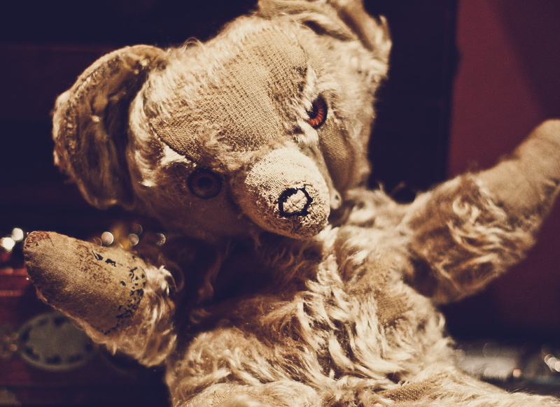 taxidermy, one animal, animal wildlife, 2K, focus on foreground, representation, mammal, softness, teddy, animal body part, portrait, toy, stuffed toy