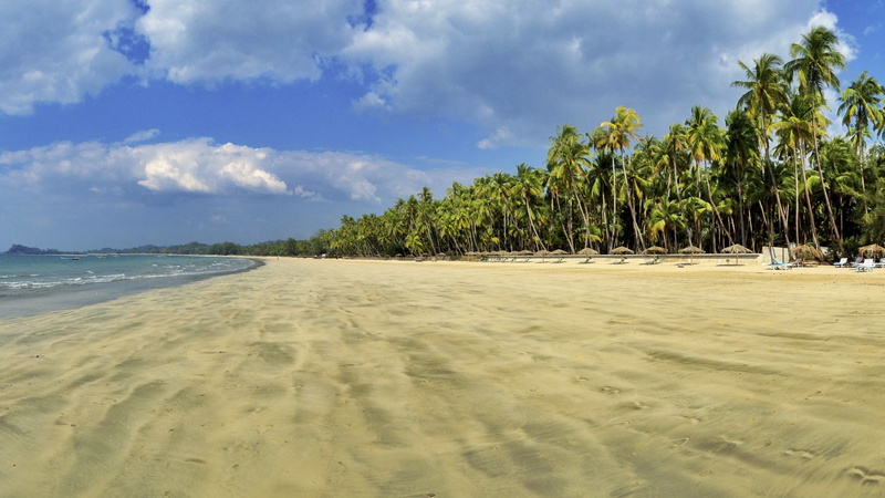 green, Best beaches of 2016, brown, Myanmar, near, leafed, trees, Ngapali, Travellers Choice Awards 2016, sand, 5K, Ngapali Beach