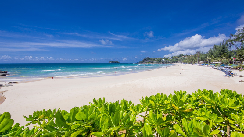 5K, Travellers Choice Awards 2016, plant, Thailand, day, time, green, Kata Noi Beach, body, leaved, Best beaches of 2016, water, near, Karon