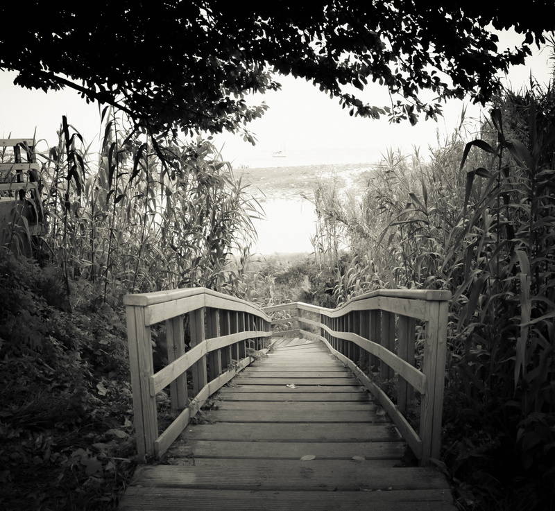the way forward, tranquility, in black and white, plant, Black And White, fog, Life, forest, footpath, diminishing perspective, beside, challenge, Bridge