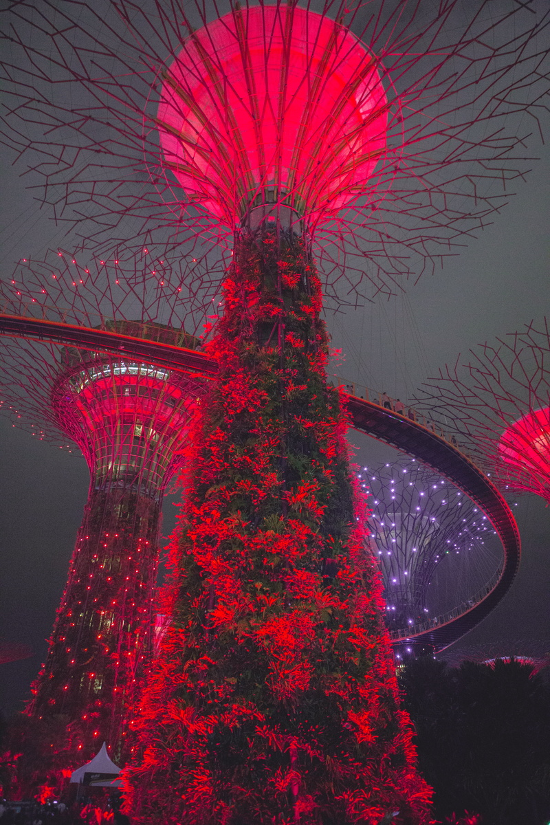 marina bay, plant, nature, 5K, future, gardens by the bay, architecture, motion, creativity, growth, tree, low angle view, red, built structure, outdoors