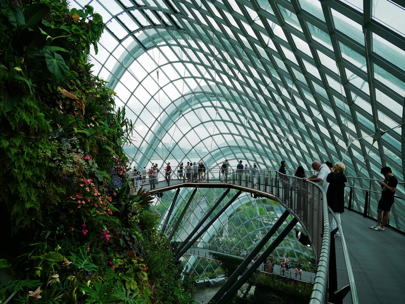 footbridge, city, modern garden, singapore gardens, plant, built structure, bridge, singapore greenhouse, lifestyles, leisure activity, futuristic building