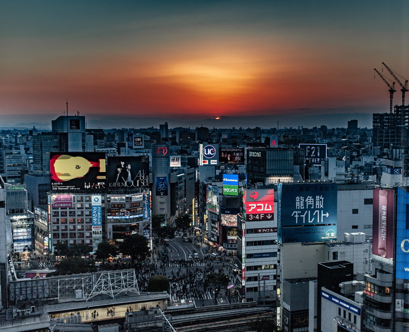 asia, city life, cityscape, office building exterior, sunset, 4K, city, tokyo, architecture, outdoors, building, evening, cloud - sky, future, urban, sky