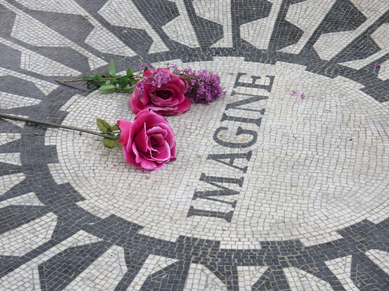 outdoors, beatles, white, rose - flower, nyc, 4K, beauty in nature, memorial, strawberry fields, central, flower, john lennon, pink color, day, surface