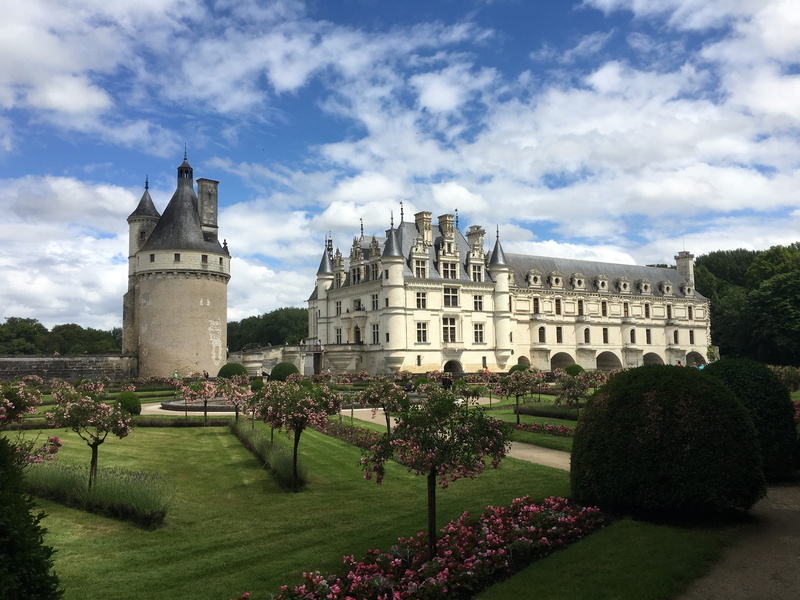medieval, mansion, the past, famous, built structure, fortress, chateau, nature, growth, wall, flowerbed, building exterior, panoramic, building, ancient