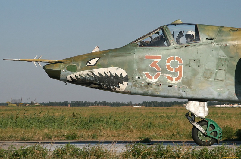 Rook, 1080P, pilot, Su-25, attack