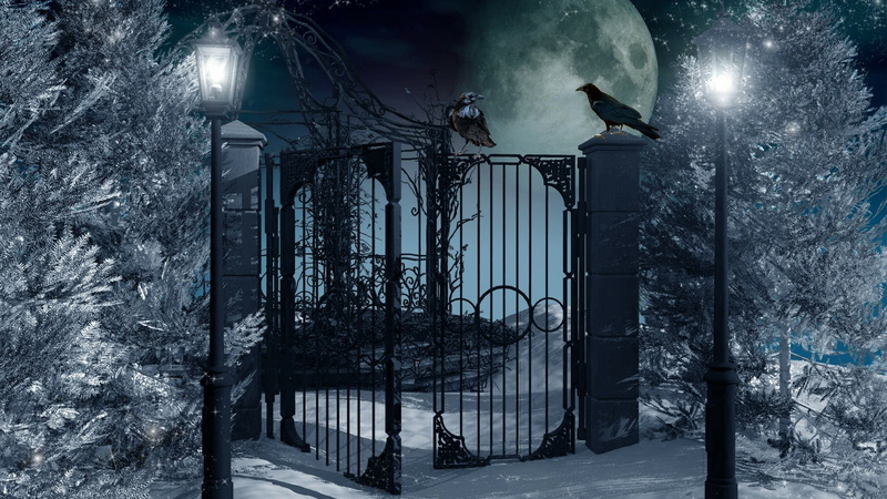 one animal, built structure, animal, outdoors, nature, gate, darkness, crow, no people, snowing, moon, plant, full moon, architecture, bird, raven, tree