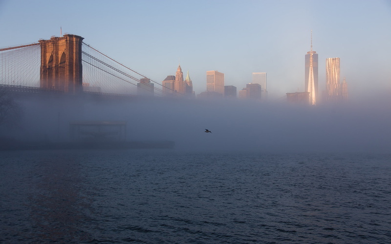 hd, new, brooklyn, buildings, cityscape, 1080P, cables, bridge, mist, bird, fog, york, skyscrapers
