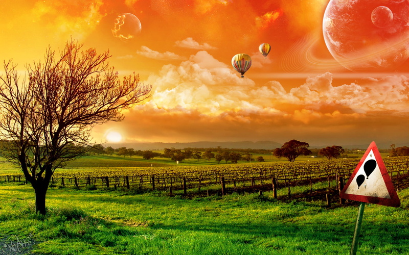 hot, ride, grass, green, field, 720P, balloon, balloons, hd, fantasy, dreamy, air, empty, tree