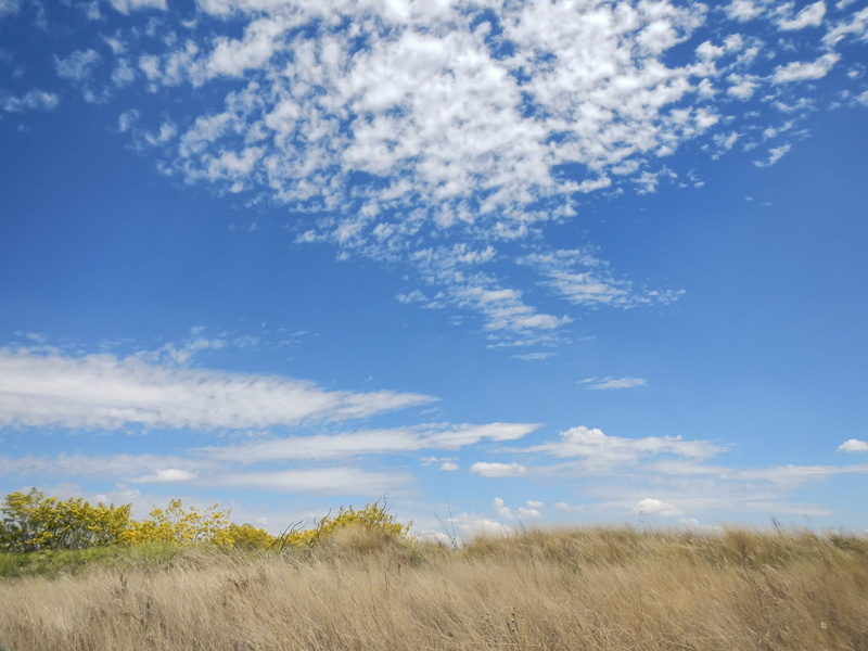 scenics - nature, field, mexico, growth, plant, beauty in nature, rays, space, marram grass, puebla, day, nature, grass, land, environment, montserrat