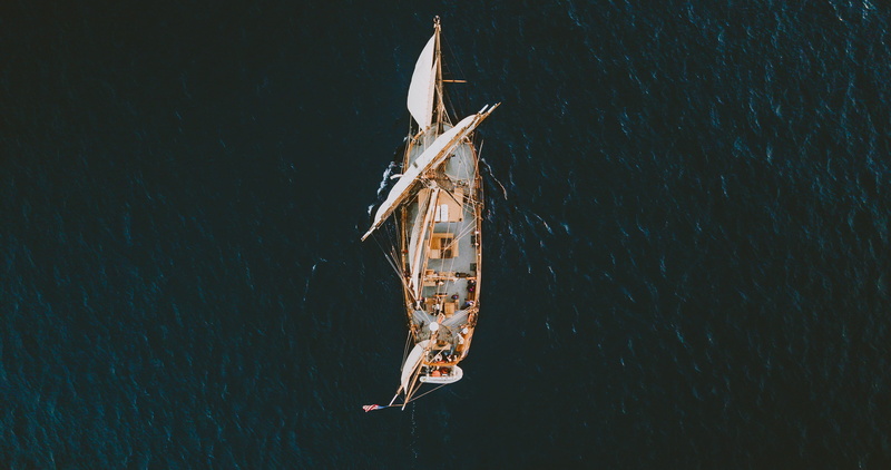 invertebrate, photography, sea, hanging, wood - material, close-up, insect, wind, animal themes, ship, high angle view, view, animal wildlife, pilgrim