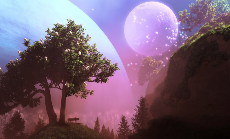trees, bench, nature, dystopia, planet, 1080P