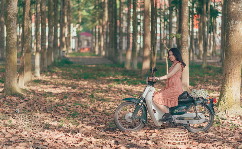 lifestyles, woman, summer, road, underbone, trees, tree, autumn, women, wheel, cyclist, royalty  images, young adult, relaxation, outdoors, lifestyle, riding