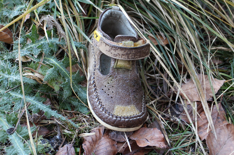 childrens shoe, plant part, land, growth, individually, child, clothing, leather shoes, day, forest, foot, grass, gardening, lost, small, old, high angle view