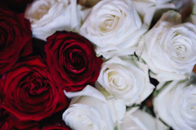 flowers, flower, Bouquet, flora, wedding, fragility, petal, love, roses, softness, romance, White, backgrounds, Red Roses, indoors, rose - Flower, valentines day - holiday