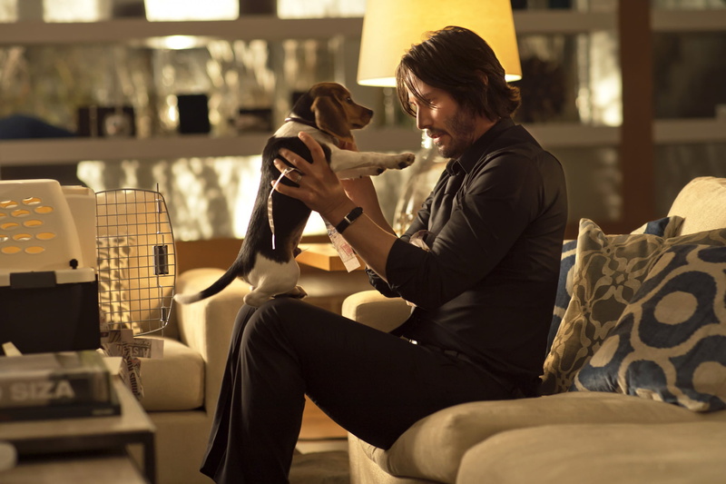 black clothing, movies, celebrity, Black clothes, black suit, men indoors, dog, actor, Keanu Reeves, in sofa, black hair, Movie Screenshots, 1080P, screen shot