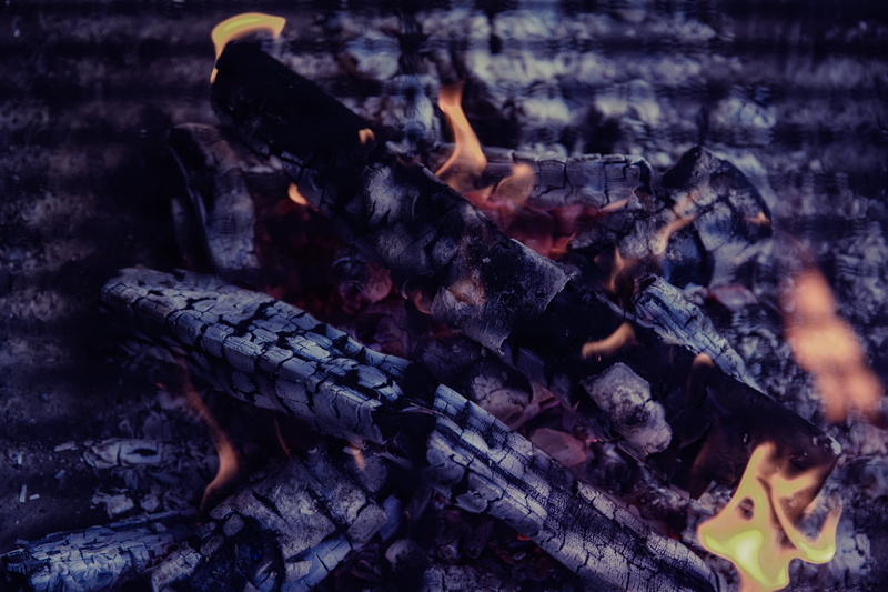 firewood, close-up, heat - Temperature, ash, day, food, outdoors, 5K, burnt, tree, campfire, smoke - Physical Structure, burning, fireplace, wood, grilled