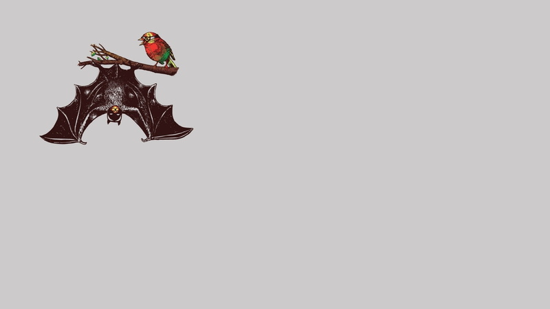 food and drink, art and craft, close-up, indoors, animal representation, animal, white background, nature, Batman and Robin, cut out, creativity, decoration
