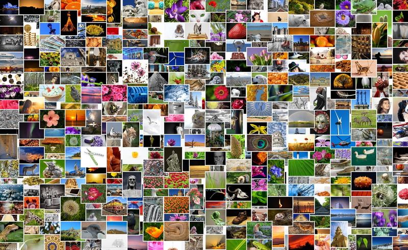 indoors, pictures album, flowers, 1080P, images, choice, communication, pixabay, technology, text, diversity, mosaic, creativity, no people, birds, collection