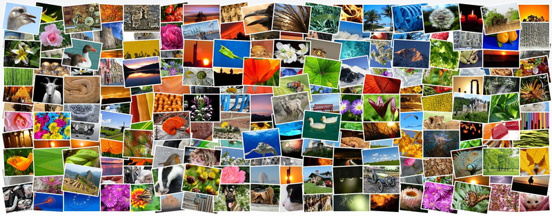 creativity, mosaic, vibrant color, photo, 1080P, text, variation, photos, landmark, mix, large group of objects, pictures album, many, backgrounds, images