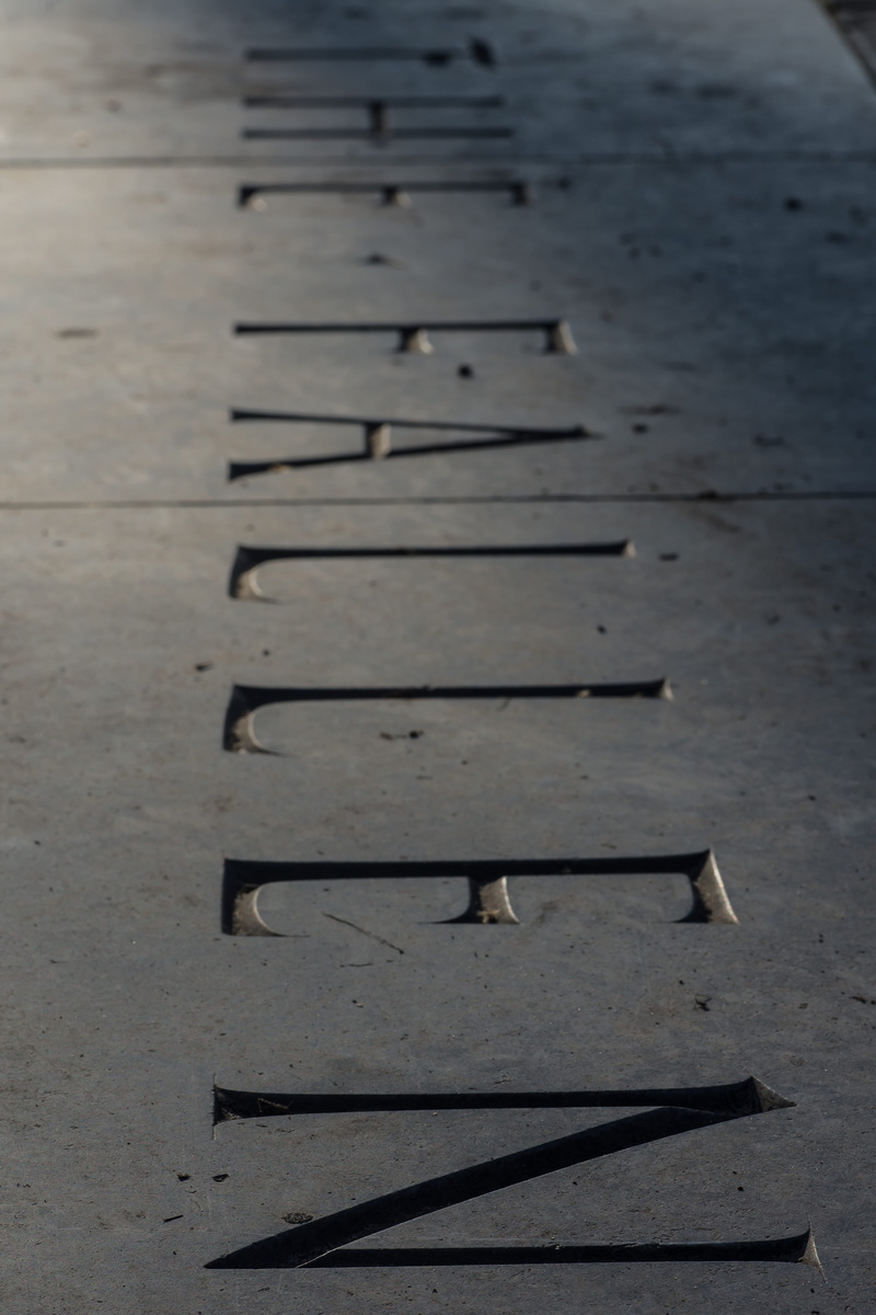 british legion, shadow, veteran, outdoors, selective focus, metal, sunlight, 5K, nature, war, high angle view, close-up, nail, united kingdom, plank, memorial