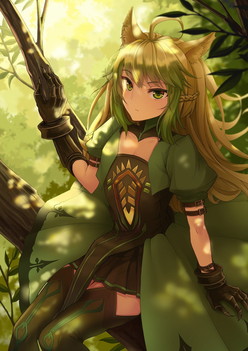 anime girls, Atalanta (Fate/Grand Order), animal ears, Fate/Apocrypha, Archer of Red, Fate/Grand Order, green eyes, anime, 720P, long hair