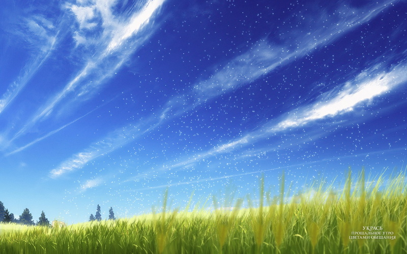 1080P, Anime, Sayonara no Asa ni Yakusoku no Hana wo Kazarou