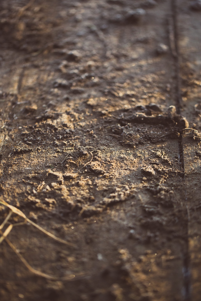 weathered, decline, rough, detail, wooden, walking, frozen, deterioration, earth, textured, outdoors, brown, close-up, muddy, run-down, old, 5K, bridge