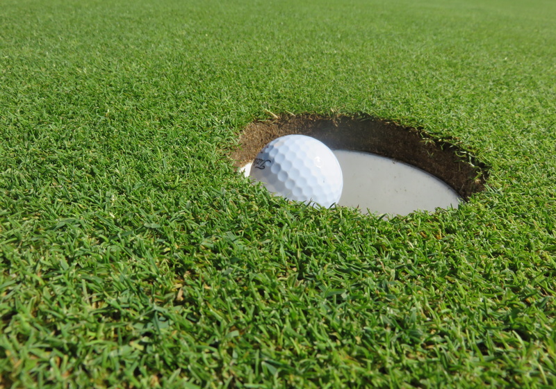 golf course, 4K, putting green, plant, activity, profit, putting-green, white color, at the edge of, putt, green color, white, leisure activity, weekend activities