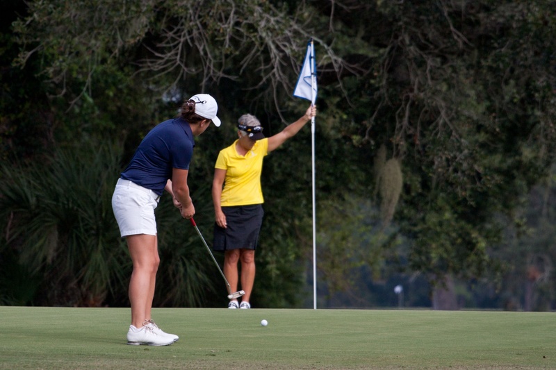 men, holding, golf, playing, recreation, green - golf course, competition, tree, scenic, golf course, skill, activity, 1080P, view, play, taking a shot - sport