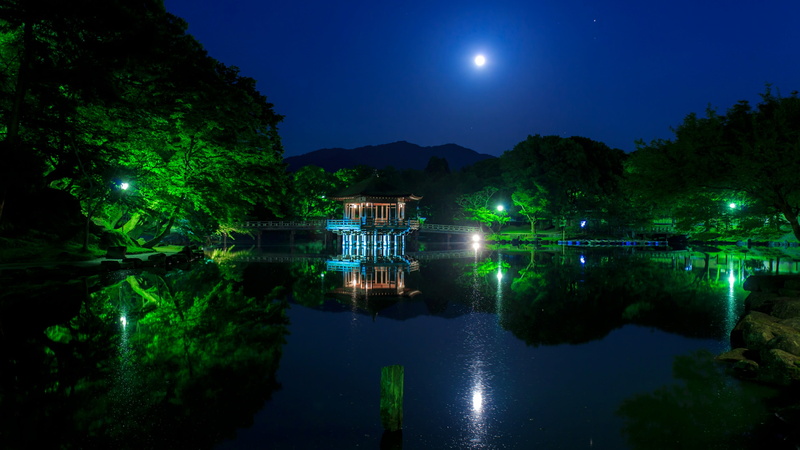 outdoors, tranquil scene, japan, reflection, pond, asia, no people, lake, building exterior, scenics - nature, night, full moon, nara park, moonlight, tranquility