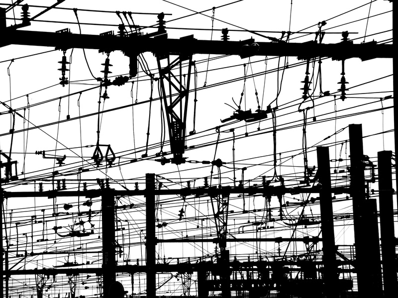 pylone, 1080P, black, lines, electric lines, animals, electric