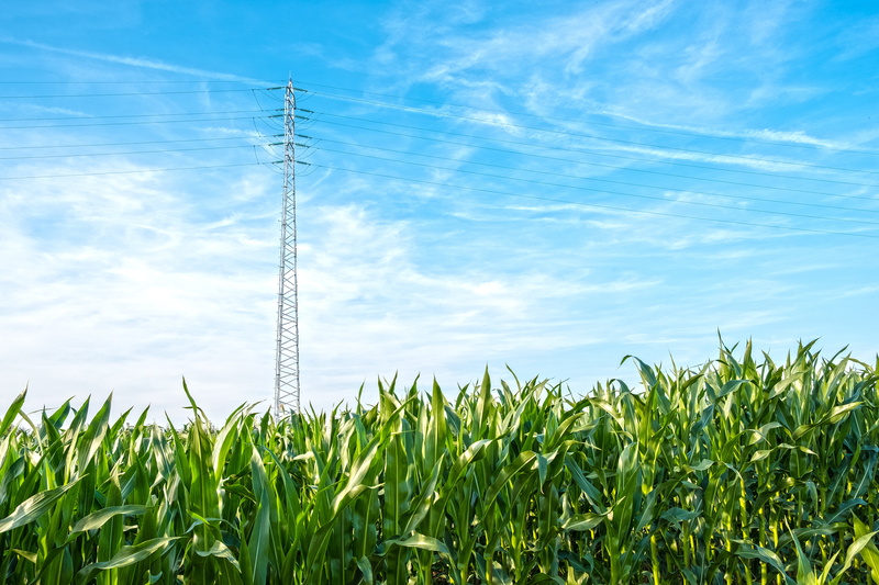 rural Scene, nature, sky  blue, outdoors, pylon, post, sky, corn, leaf, near, clouds, daytime, agriculture, blue, 5K, farm, electric, green, FUJIFILM  X-T2