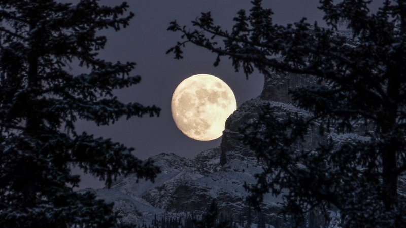 full, astronomy, trees, sad, circle, shape, crater, canmore, outdoors, 4K, space, nature, tranquility, beauty in nature, low angle view, silhouette, alone