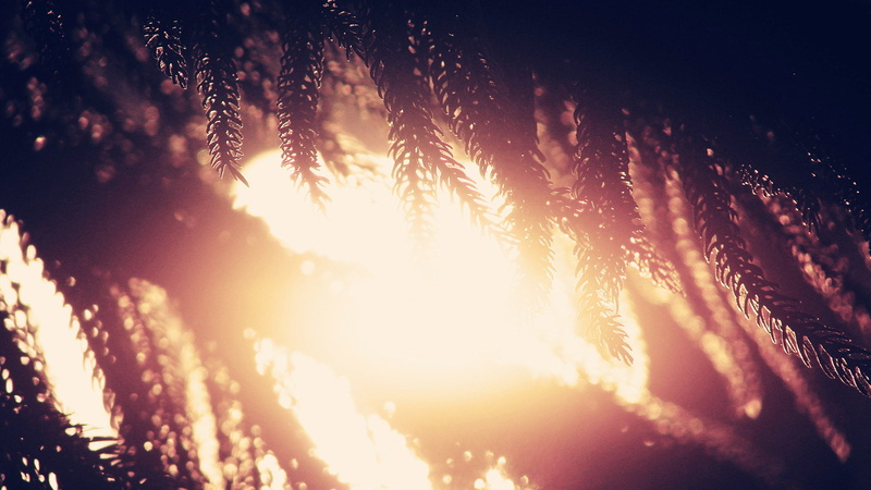decoration, star, holiday, close-up, tranquility, sunbeam, digital, light - natural phenomenon, light, glow, glowing, art, space, bright, forest, sun, nature