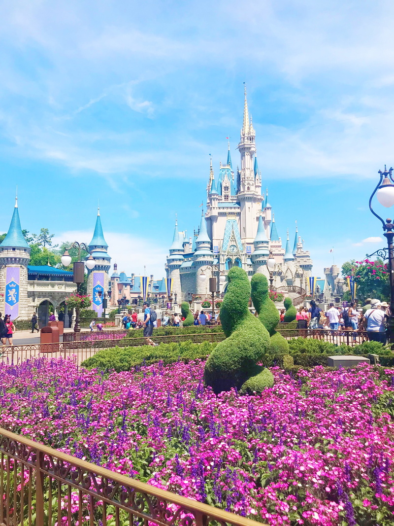 town, castle, day, ornamental garden, flowering plant, spirituality, theme park, plant, religion, spire, built structure, person, 4K, metropolis, building exterior