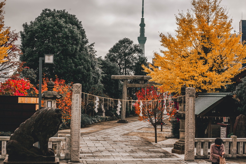 japanese temple, garden, autumn, woman, tree, 5K, religion, orange color, asia, gate, spire, nature, near, architecture, person, place of worship, shrine