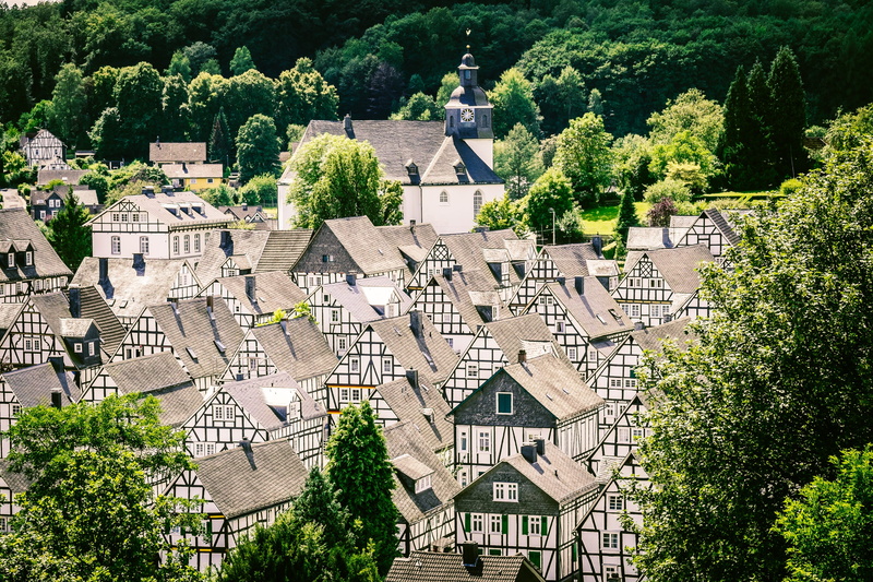 green color, homes, residential district, outdoors, sunlight, europe, Truss, architecture, places of interest, 4K, old, day, growth, Freudenberg, castle