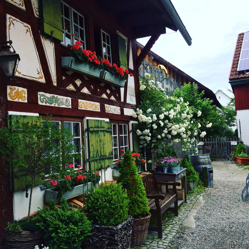 architecture, outdoors, potted plant, no people, green, truss, historic home, land, summer, white, fachwerkhaus, seat, view, growth, pub, swabia, surrounded