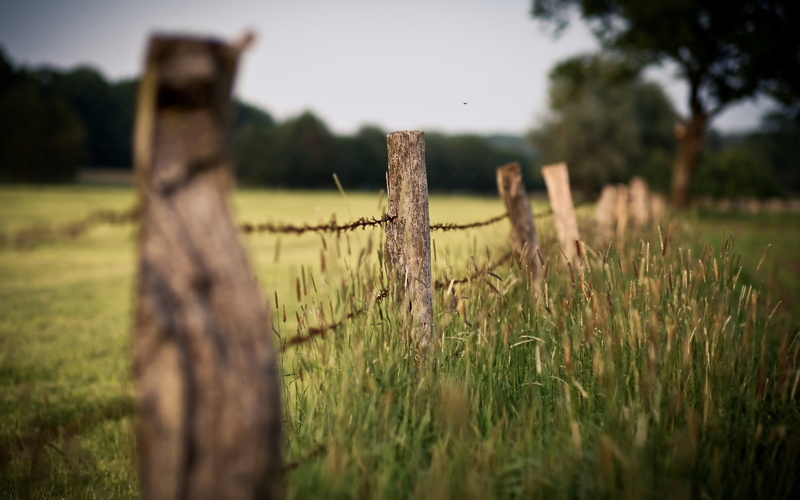 field, barb, brown, wire, hd, fence, 2K, macro, board, wooden, nature