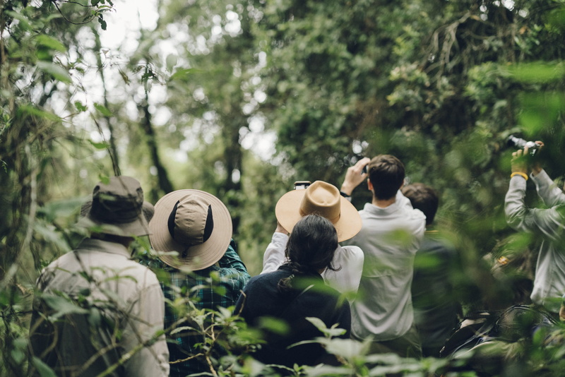 representation, green color, uganda, woodland, people, vegetation, plant, outdoors, sphere, land, bwindi impenetrable national park, women, hat, growth