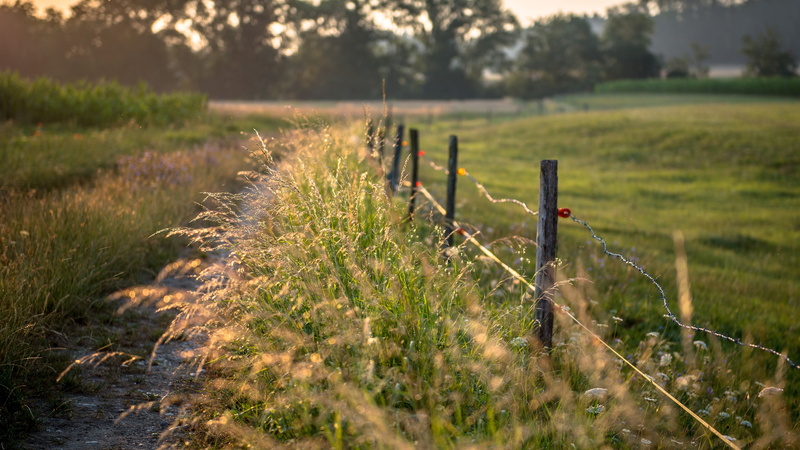 green color, grass, beauty in nature, water, nature, photography, sun rays, barrier, filter, land, focus on foreground, growth, road, wooden post, green