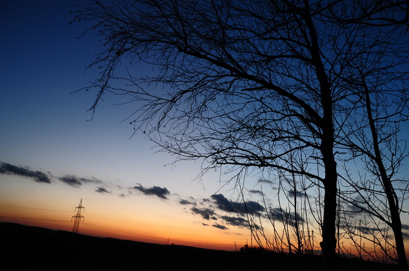 dark, sunset, power lines, 4K, trees