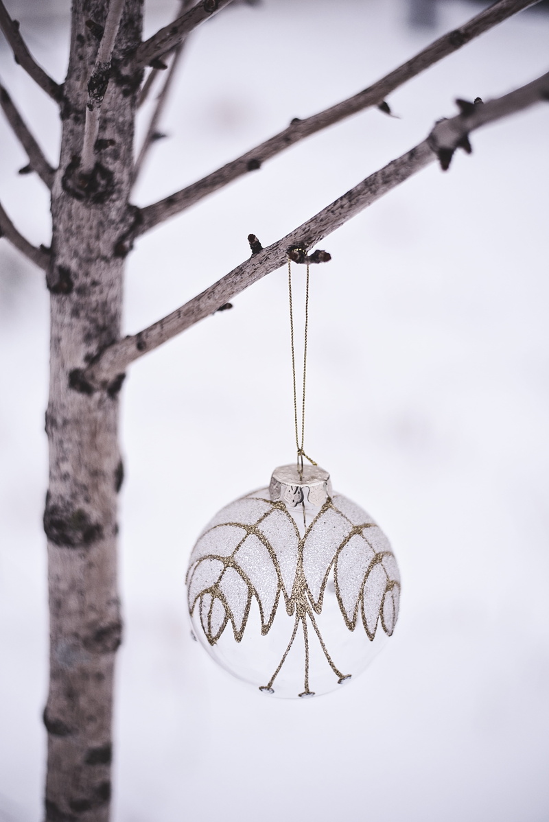 plant, winter, shape, close-up, cold temperature, rust, 5K, hanging, bauble, sphere, light fixture, crystal, nature, lampshade, fir, christmas, selective focus