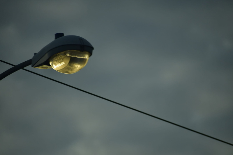 seagull, sky, lightbulb, torch, low angle view, electricity, electric light, lamp, dusk, metal, musical instrument, bird, animal, light fixture, light
