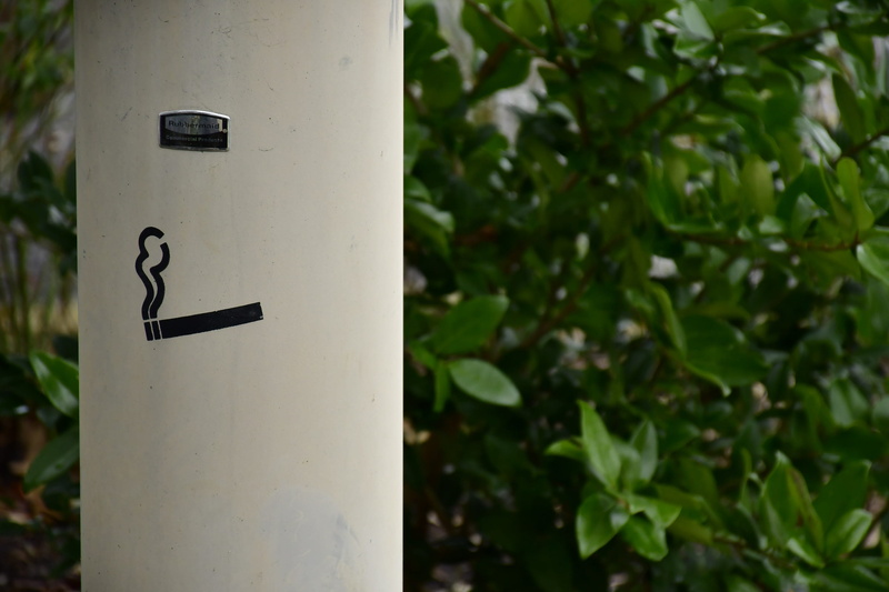 handwriting, no people, label, calligraphy, information, green color, animal, close-up, text, number, nature, 2K, sign, letterbox, white color, chime