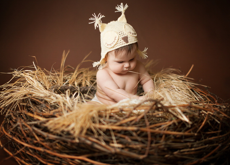 cheerful, hat, looking, plant, one Person, childhood, cute, nature, rural Scene, straw, young, human Face, beautiful, nest, summer, females, beauty, happiness