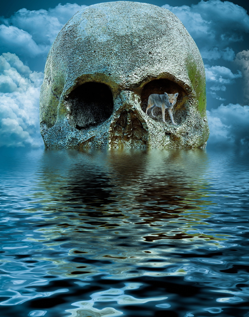 human representation, 5K, cloud - sky, socket, body part, day, sky, standing, wolf, body, skull, eye, digital, human skeleton, left, water