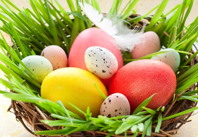 plant, egg, decoration, holiday - event, basket, no People, ornate, animal Egg, multi Colored, yellow, Easter, freshness, close-up, green Color, paint