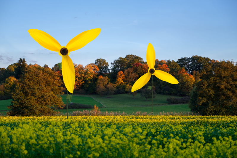 vulnerability, environment, pinwheel, nature, renewable energy, sky, flowering plant, ecologically, tranquility, yellow, power supply, flower, fragility